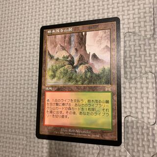 MTG 低木林地 7版 日本語 ホイル Foil マジックザギャザリング mtg