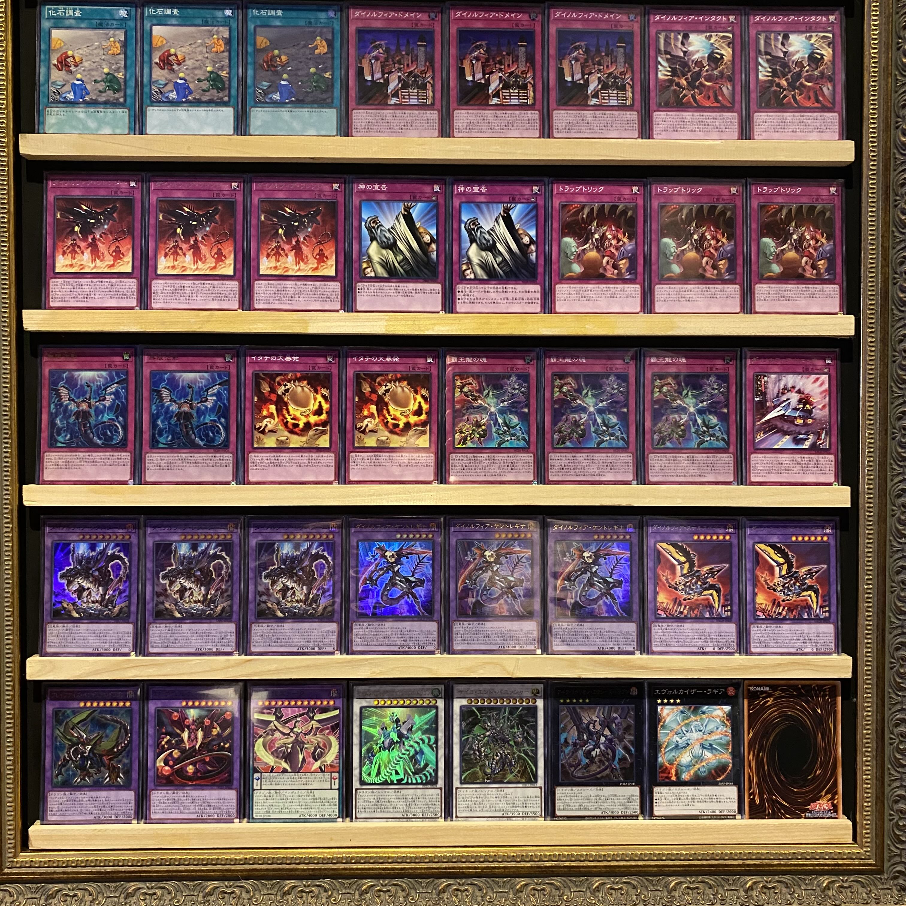 遊戯王 竜華ダイノルフィアデッキ 大会優勝ガチ構築済みデッキ 遊戯王