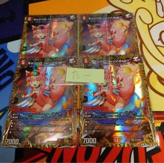 キャンベロ ＜レッゾ.Star＞(金トレジャー)」の激安通販 | magi