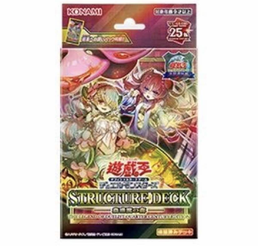 遊戯王 決闘者伝説25h 精霊術の使い手 3セット 遊戯王OCG デュエル