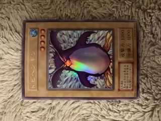 トビペンギン」の激安通販 | magi