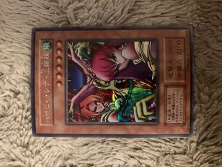 PSA8 鑑定品 No.18 カードダス 遊戯王 ハーピー・レディ1 エラー品