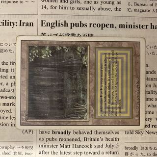 bayou 英語1枚 Bayou リバイズド 拡張 英語 Bayou リバイズド 拡張