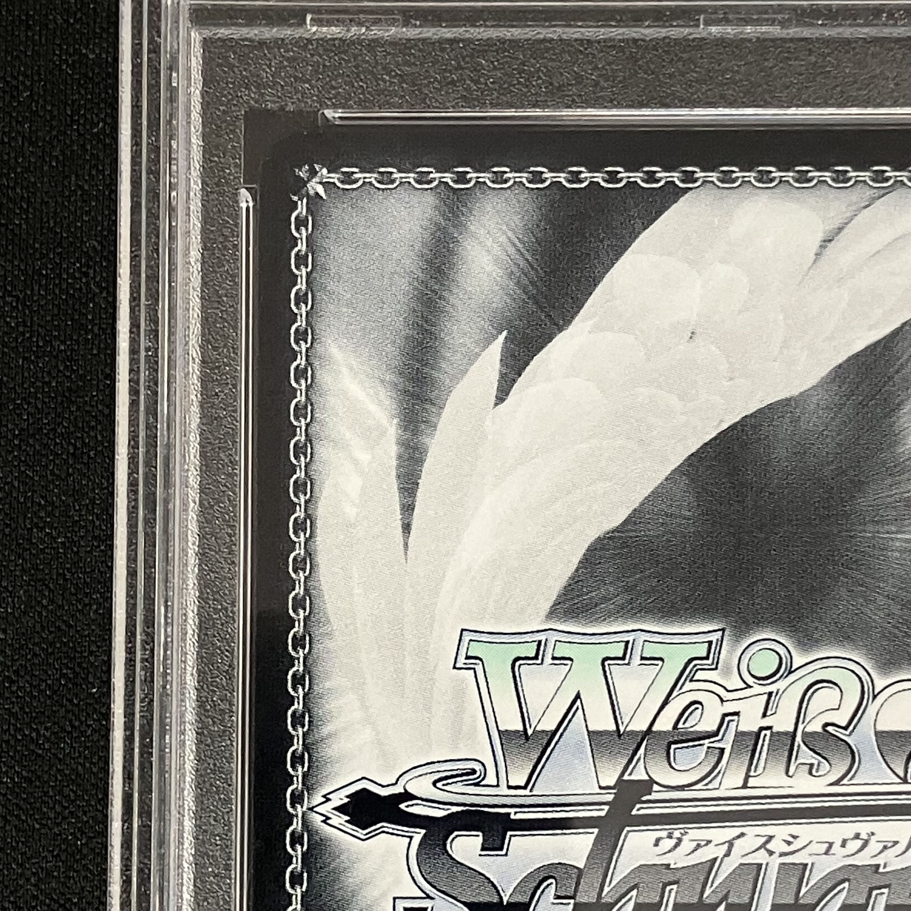 PSA10】ヴァイス WS 英語 ぼうふり サイン 二人の時間 サリー