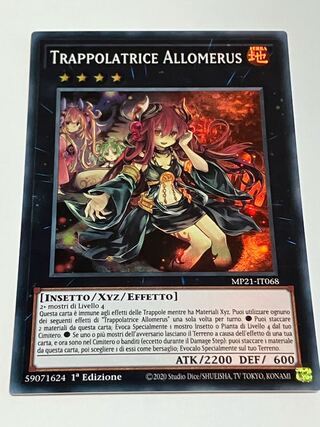 遊戯王 アロメルスの蟲惑魔 20th 遊戯王 クラリアの蟲惑魔 プリシクの