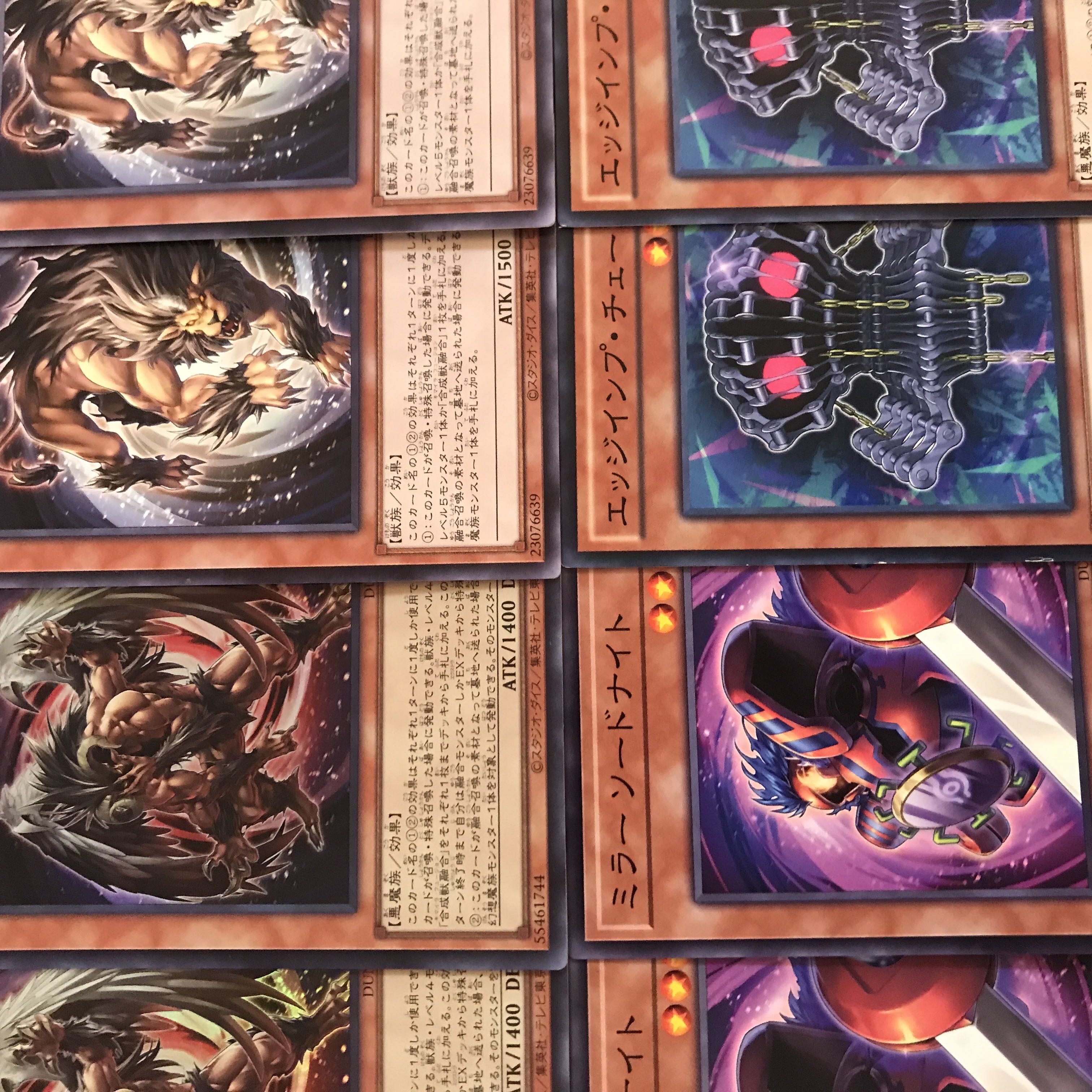 遊戯王【超本格ガチ構築！！超強力！！】烙印キマイラデッキ40枚の通販