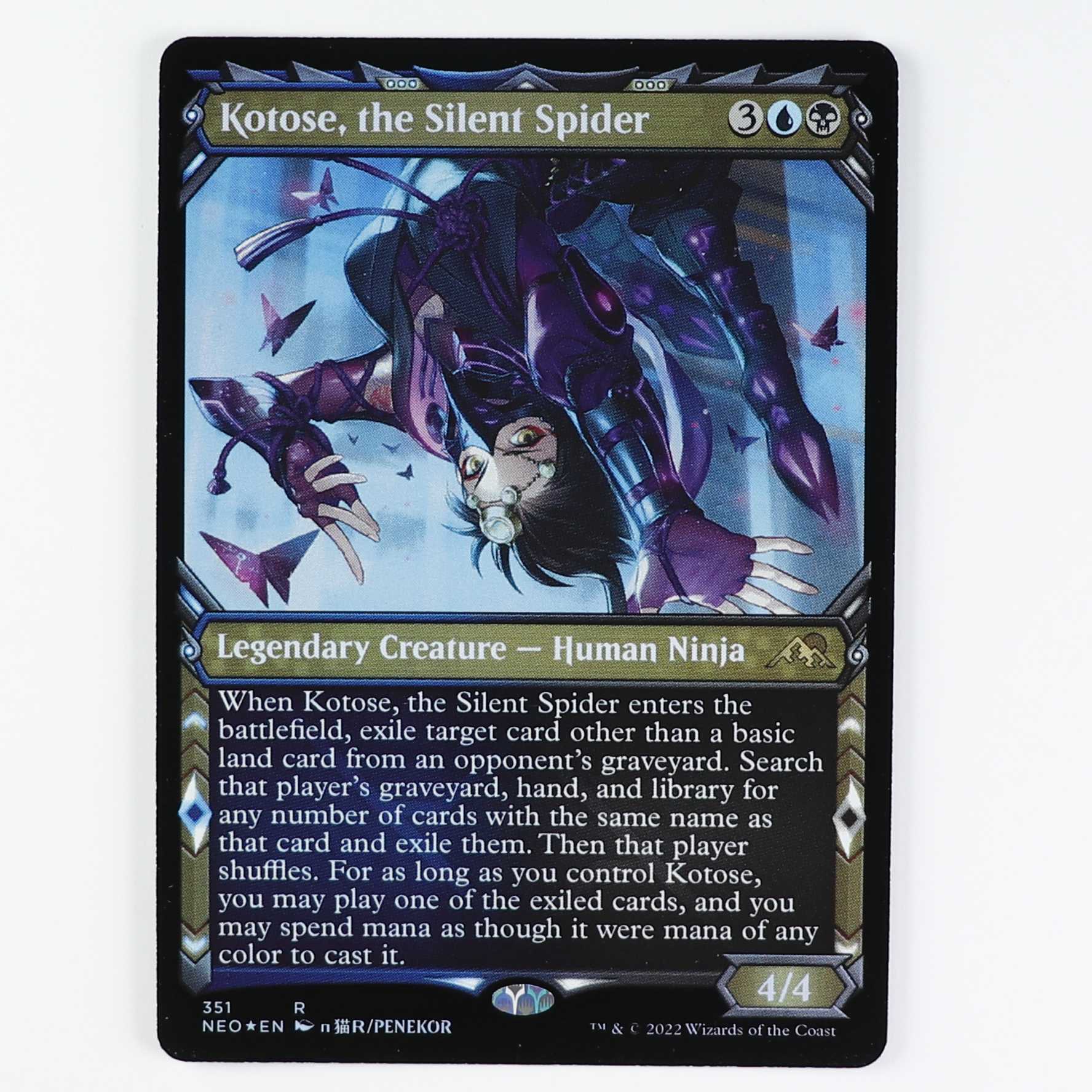 適者生存 Survival of the Fittest 4枚セット 英語 適者生存 Survival