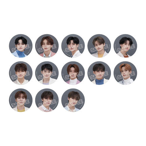 即購入⭕️ SEVENTEEN 集合 うちわ 4点セット 2025年最新】SEVENTEEN