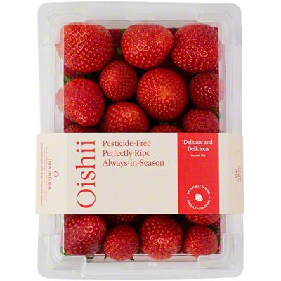 いちご いちご いちご 国内2月18日/25日発売予定】アディダス