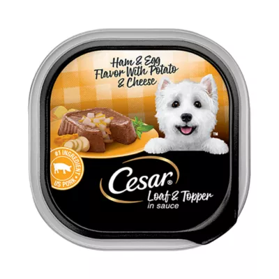 5177005?fmt=webp&wid=400&hei=400