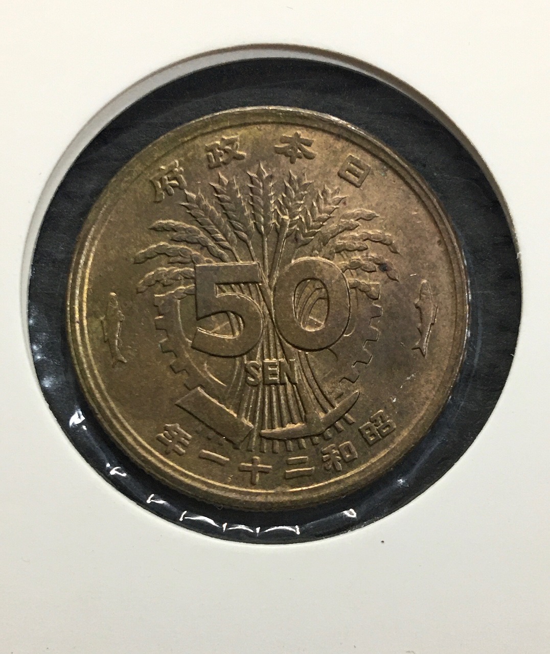 大型50銭黄銅貨 昭和21年銘(1946年) 近代黄銅貨 鳳凰五十銭 未使用