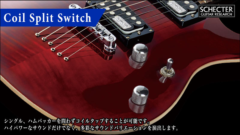 SCHECTER RJ-1-24-VTR | SCHECTER