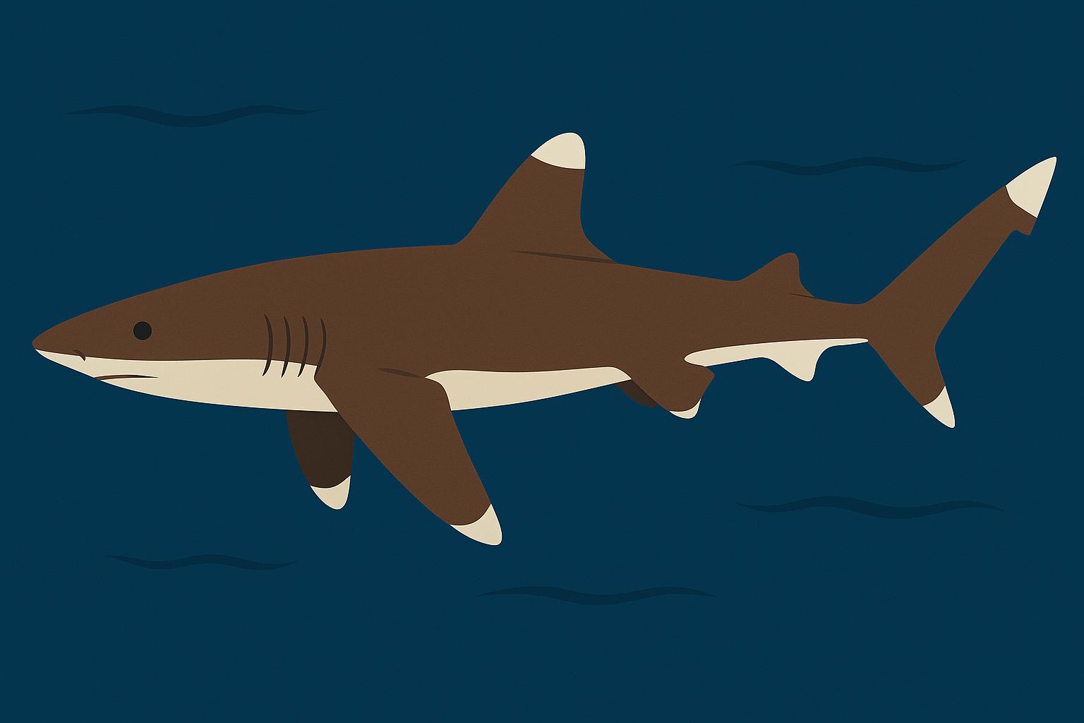 ヨゴレ｜「海難事故の死神」と呼ばれる理由。外洋で最も恐れられるサメ