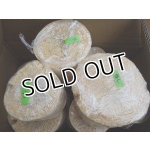 VN（ベトナム）材 - 山陽オオクワ倶楽部