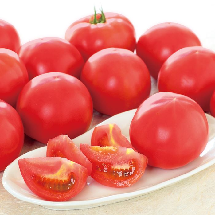 岐阜 中津川・恵那 東美濃 王様トマト｜種（タネ）,球根,苗,資材