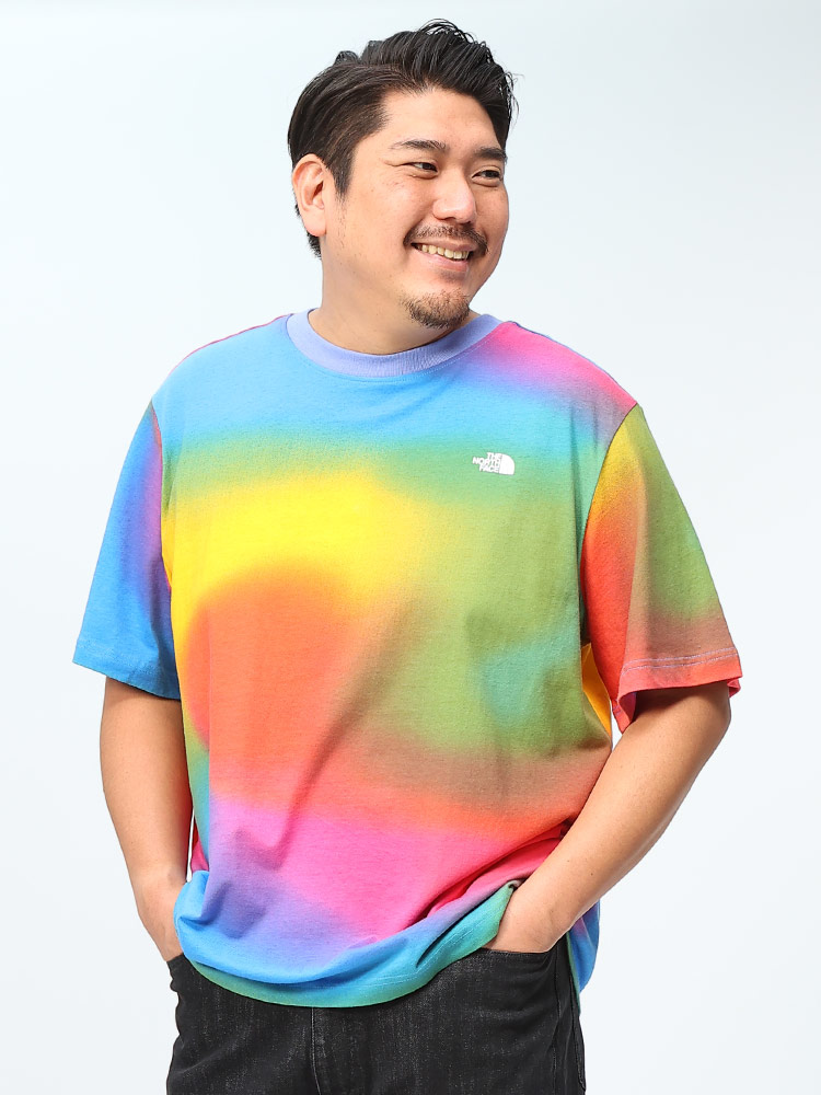 THE NORTH FACE ザ ノースフェイス 半袖 Tシャツ Men'z Aop Box Fit