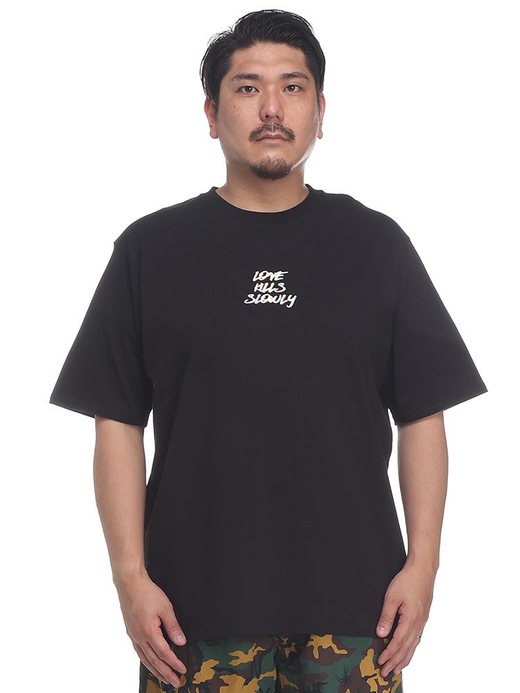 大きいサイズ メンズ ed hardy (エドハーディー) バックスカルプリント