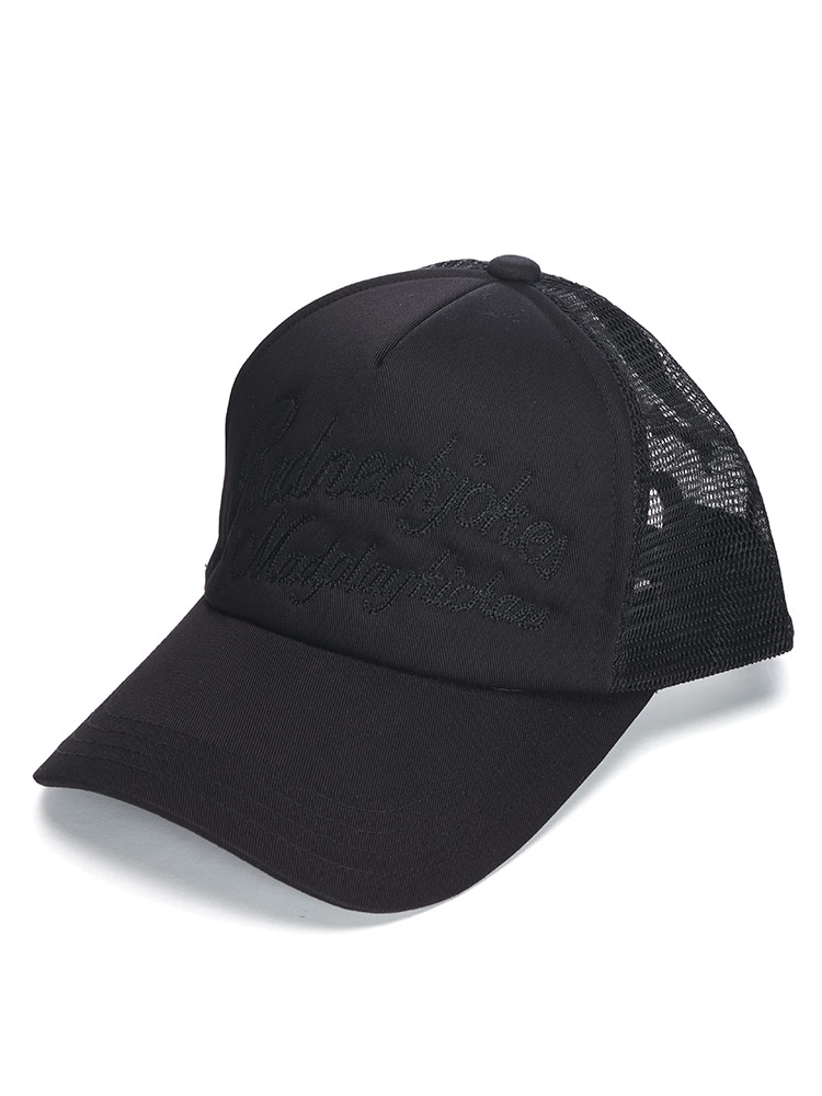 メッシュキャップ チェーンステッチ刺繍 帽子 刺繍 アメカジ 大きい