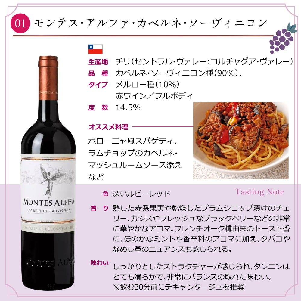 6本セット】 エノテカ 厳選 赤ワイン 750ml × 6本 セット チリ