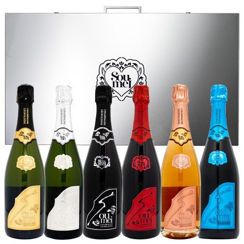 ソウメイアタッシュケース空瓶6本セット