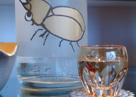 仙禽 ✕ IMADEYA 金のかぶとむし せんきん 栃木県 | さけのわ