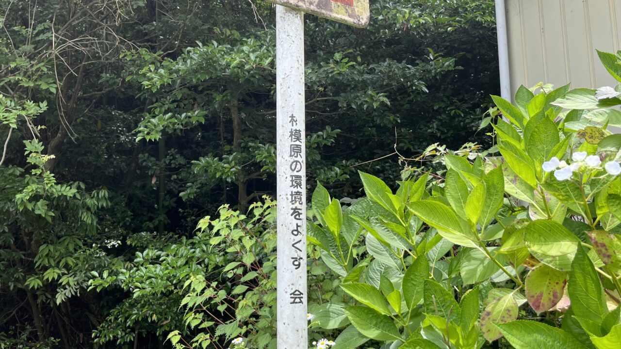 相模原市南区】珍しいホタルの標識!? 下溝・道保川沿いに隠れた鑑賞