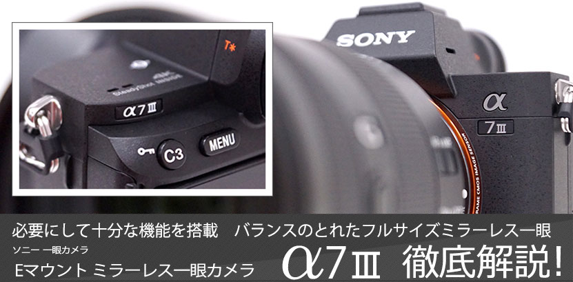 α7 III レビュー 作例付き・実機を使って徹底解説！| ソニーショップ