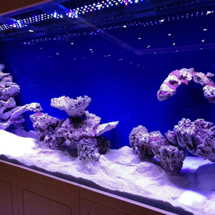海水魚 LED 照明 ブラックボックス