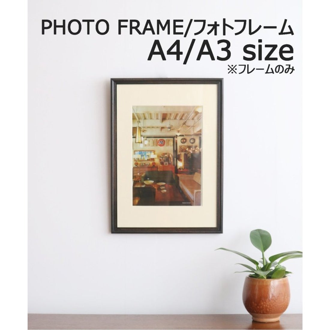 植物アート フレーム付き アクメファニチャー acme furniture 植物