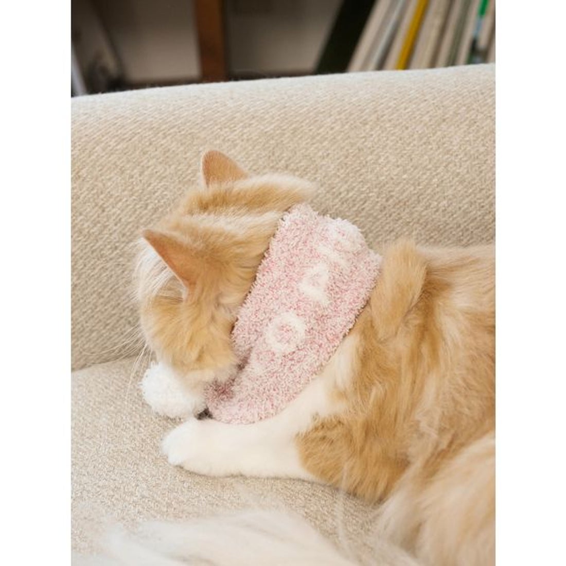 ジェラートピケ gelato pique 【CAT&DOG】ジェラートメランジマフラー