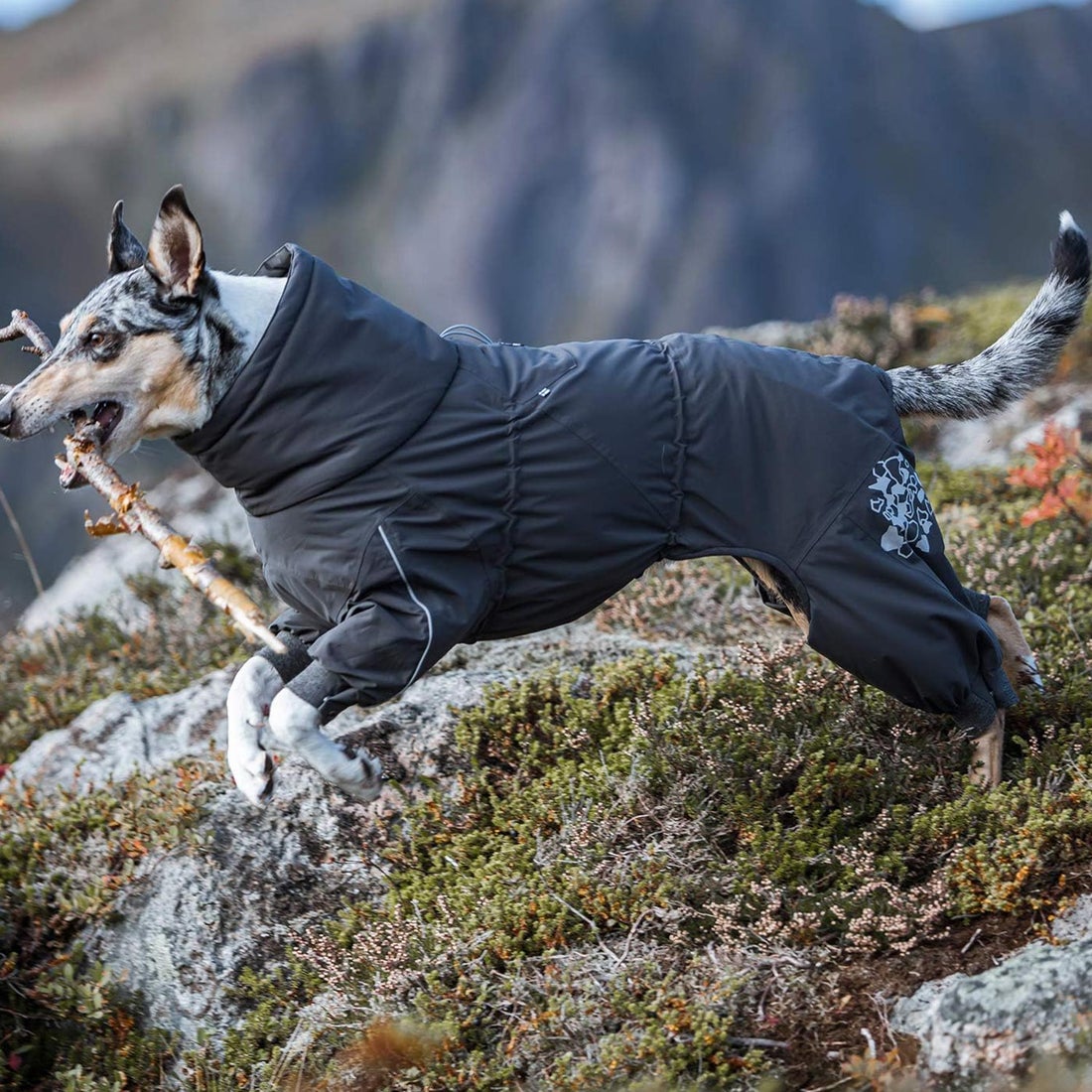 フルッタ (Hurtta) ダウンポアスーツ カモフラージュ ペット