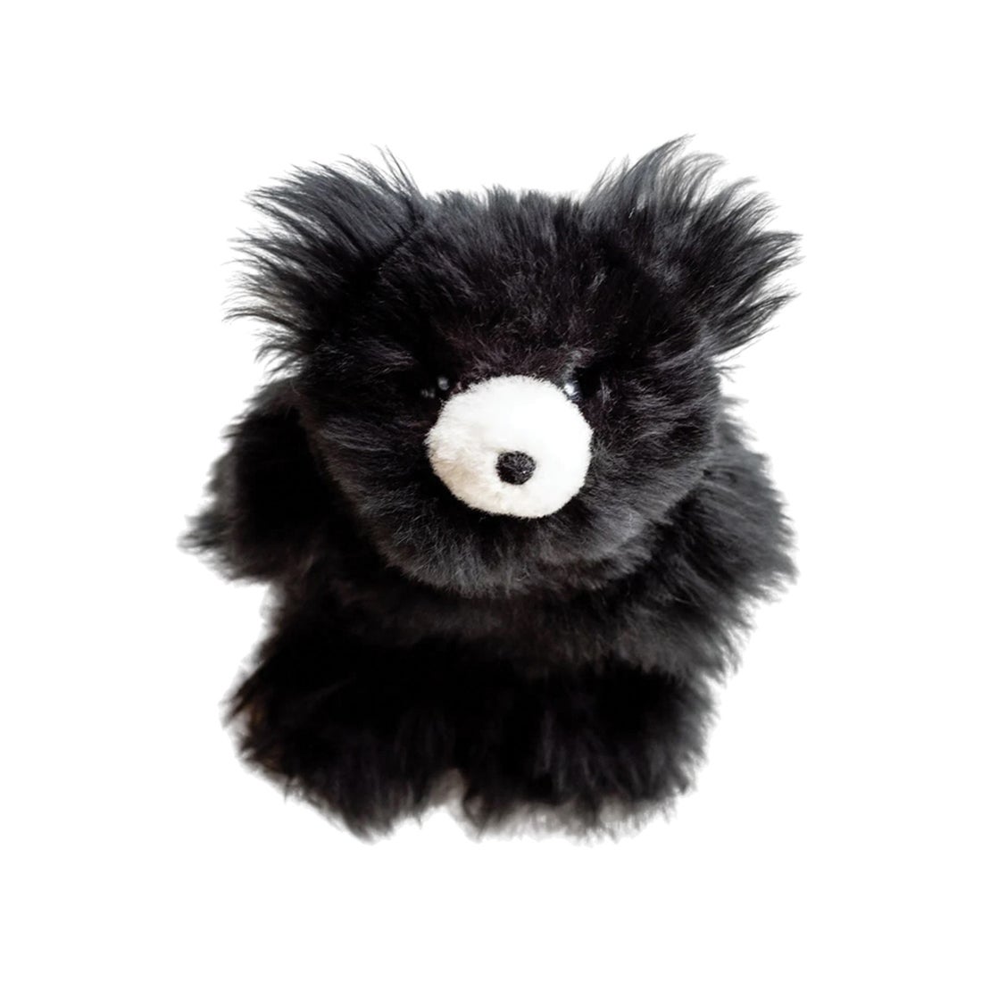 ITSUKI イツキ ぬいぐるみ テディーベア クマ 小さい クマが入っていた