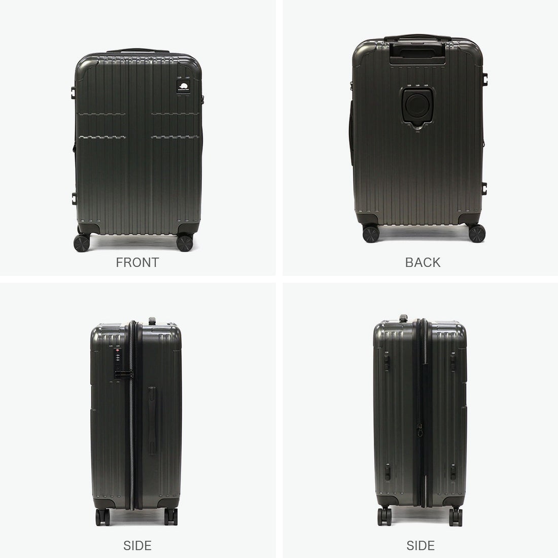 スカンジナビアンフォレスト SCANDINAVIAN FOREST 正規品1年保証