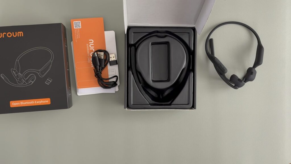 Nuroum OpenEar Pro 2」レビュー!リモートワークの相棒はこれで決まり