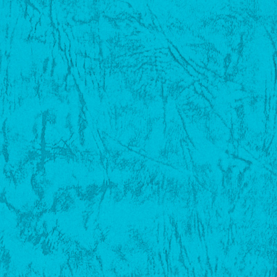 レザック66(あおたけ)｜検索結果｜特種東海製紙