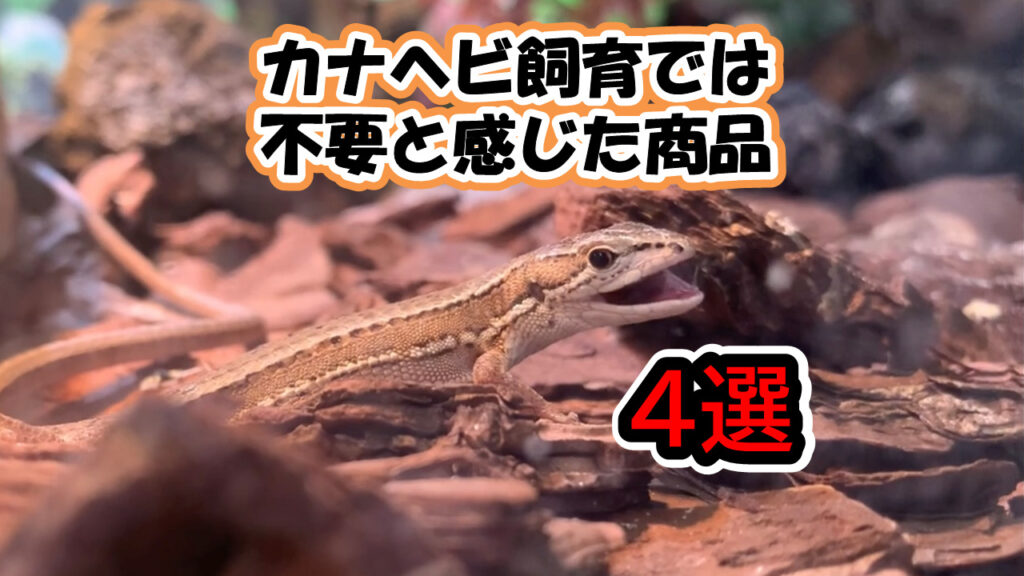 忖度なしレビュー】カナヘビ飼育には不要と感じた商品4選！