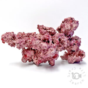 受注生産品 の在庫一覧 - 海水魚・小型水槽・人工ライブロック通販