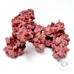 受注生産品 の在庫一覧 - 海水魚・小型水槽・人工ライブロック通販