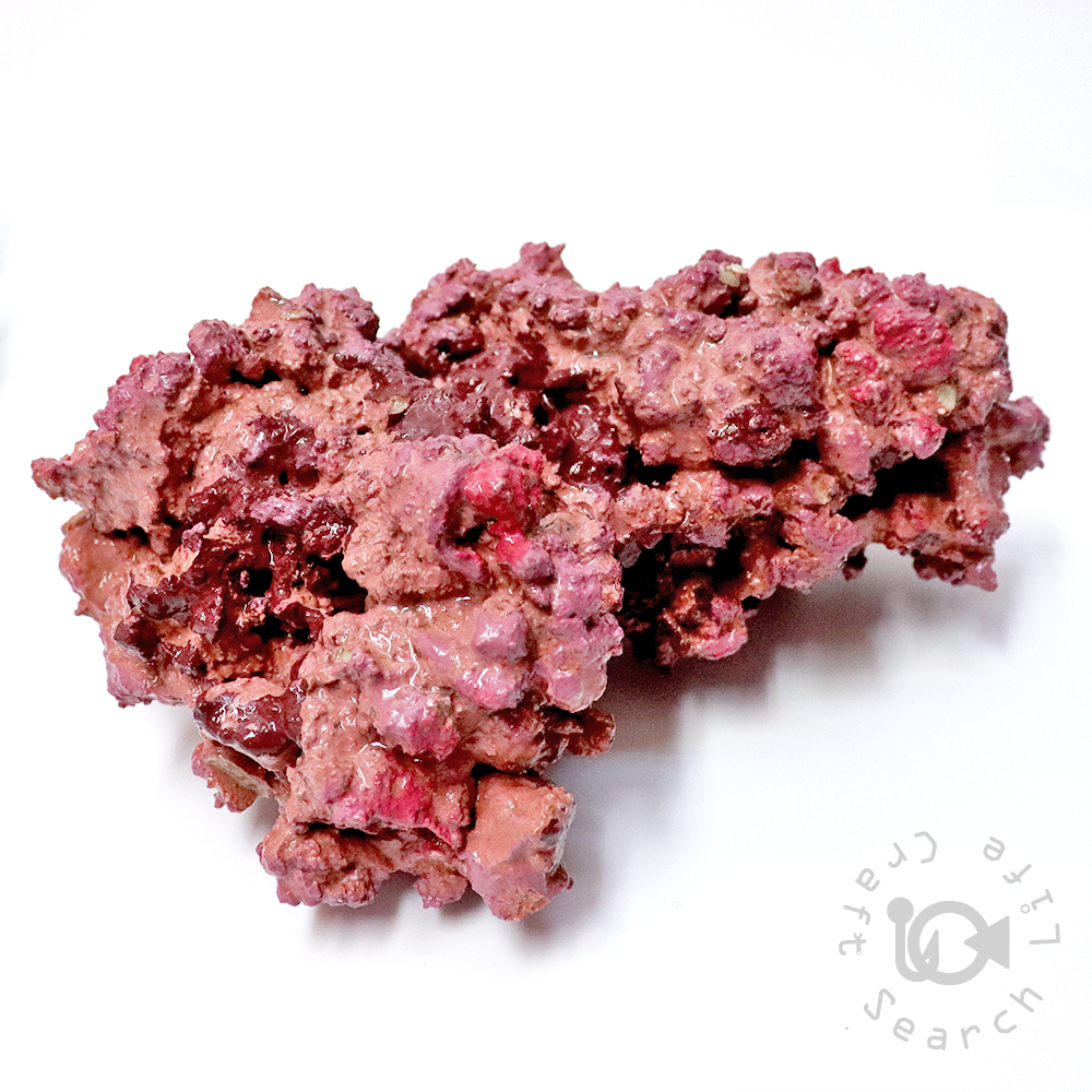 天然ライブロック 約20kg 送料込み、天然ライブロック 約20kg 2025年