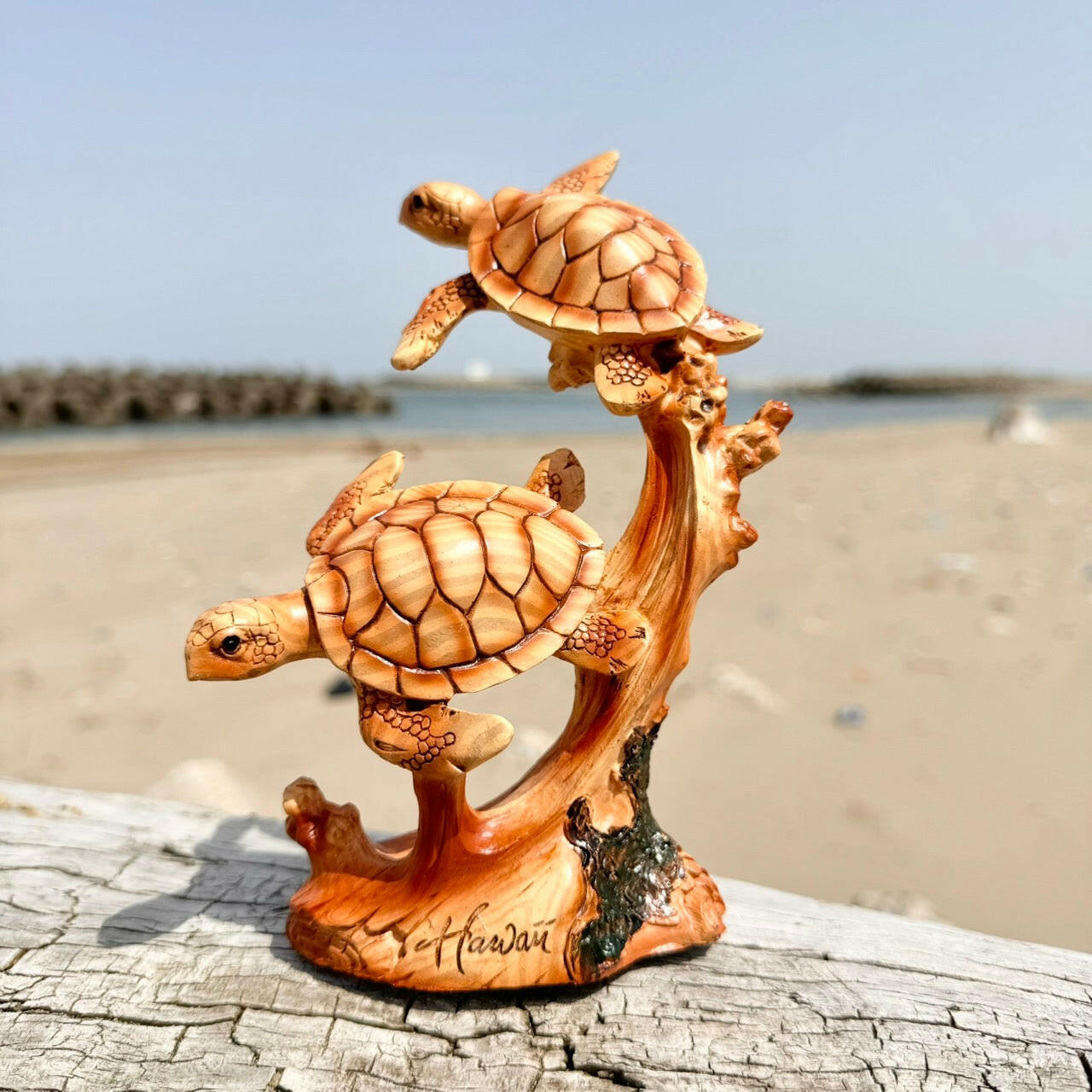 KAME HOUSE幻獣の亀フィギュア完成品22㎝ガメラ