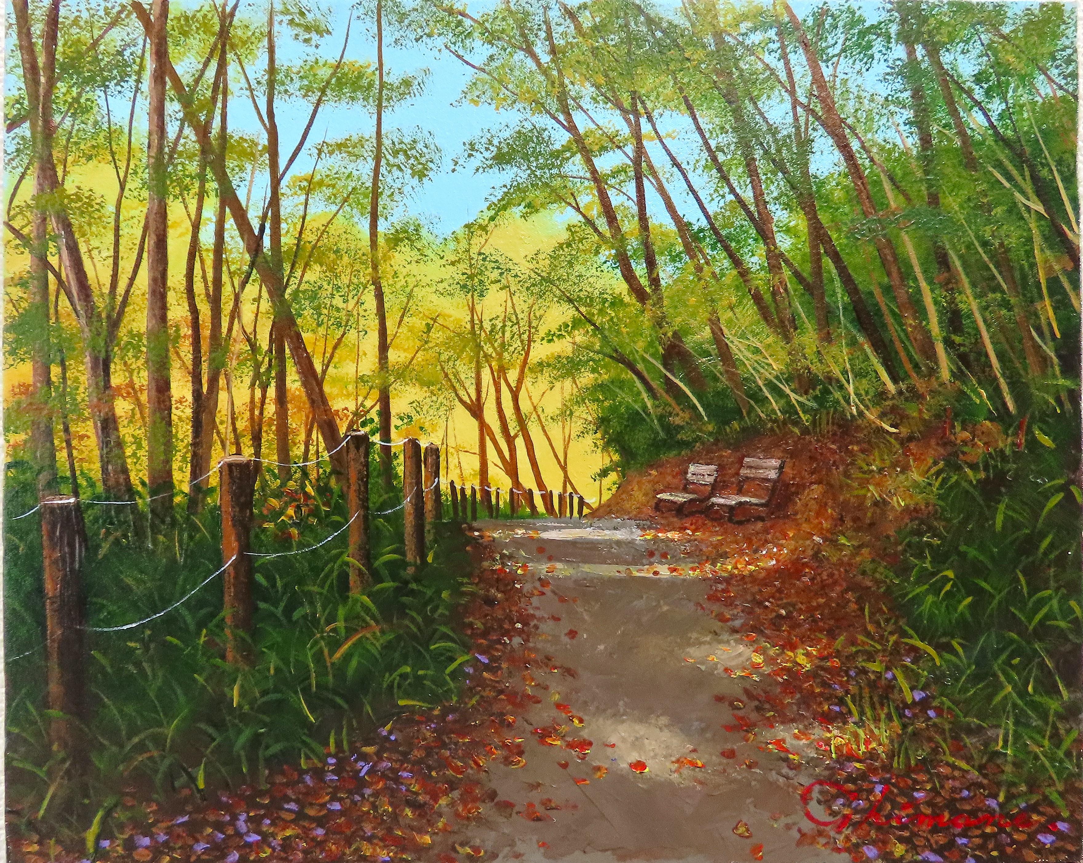 尾瀬の水芭蕉 | ｜正光画廊