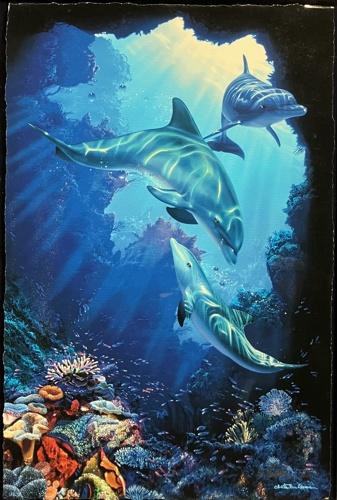 クリスチャンラッセン(ドルフィンシンフォニー(S)) ドルフィン