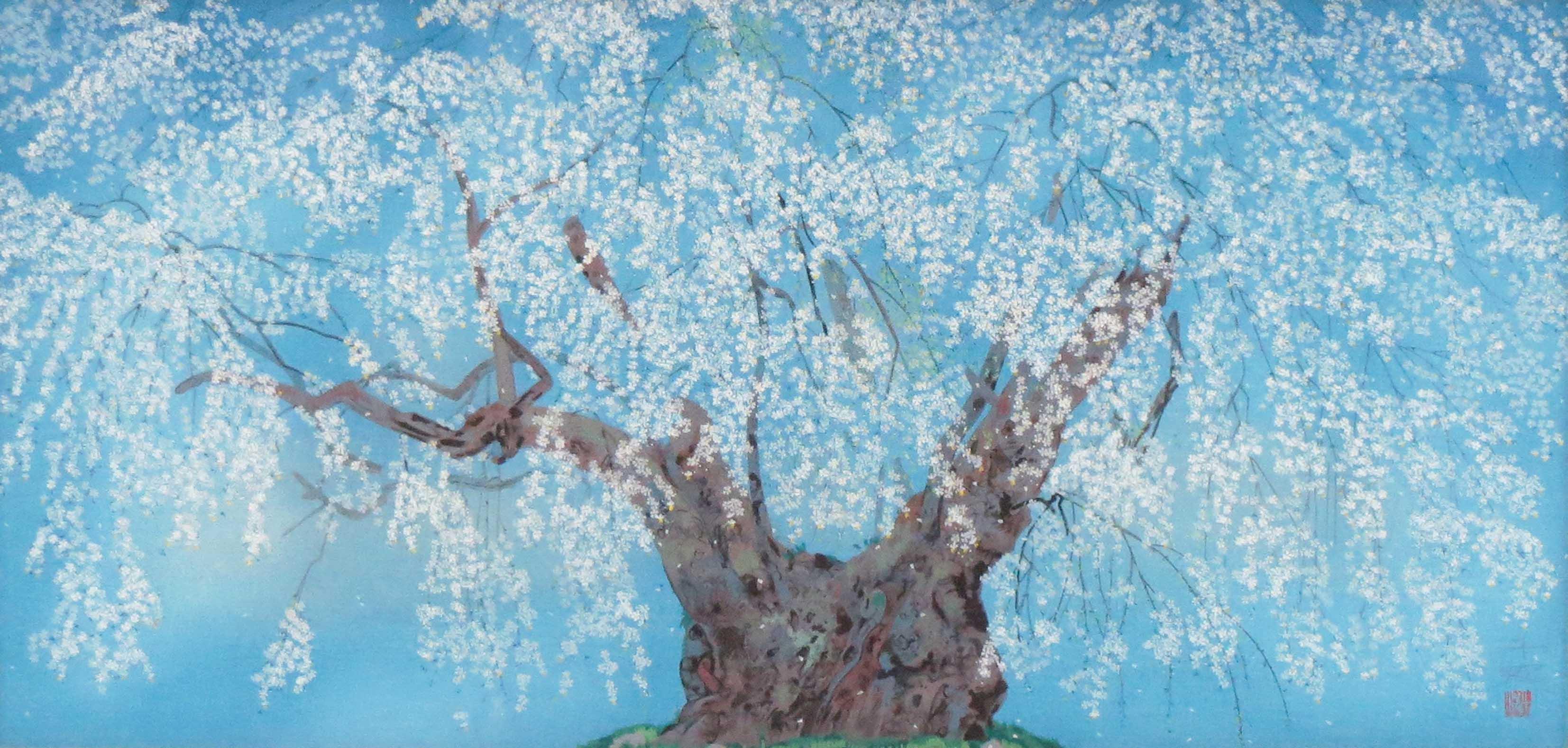 中島千波 【坪井の枝垂櫻】 リトグラフ 中島千波 坪井の枝垂櫻(1)