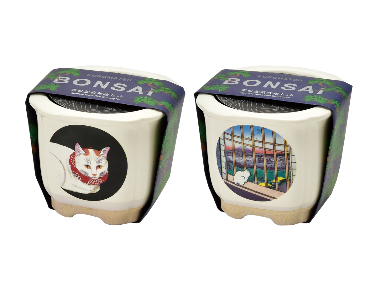 JAPANESE BONSAI - 聖新陶芸株式会社｜栽培キットの企画・製造・販売