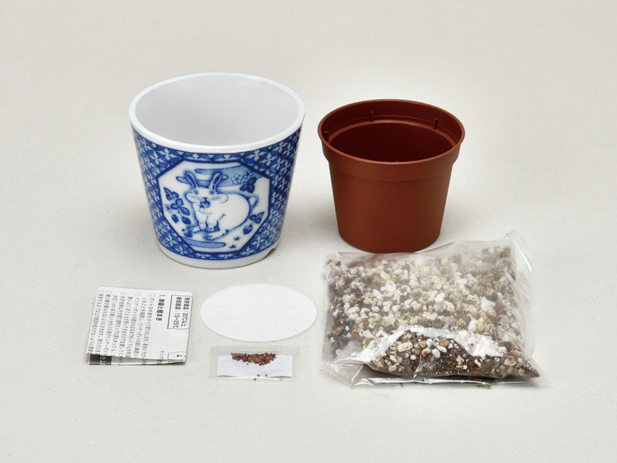 染付小紋 草花 BONSAI - 聖新陶芸株式会社｜栽培キットの企画・製造・販売
