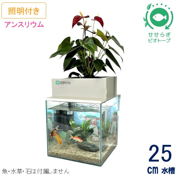 小型卓上タイプ – せせらぎビオトープ 公式ストア