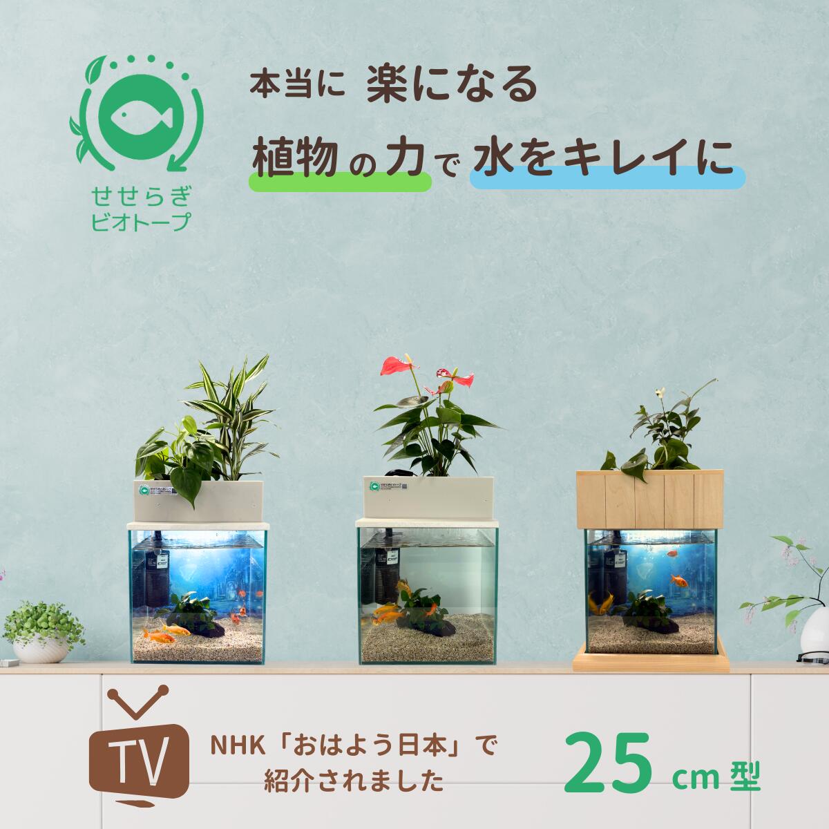 25cm型 せせらぎビオトープ 基本＋木枠・台セット 照明あり【送料無料