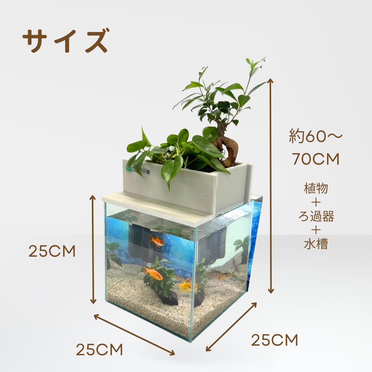 せせらぎビオトープ 公式ストア
