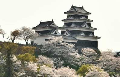 賤ヶ岳七本槍」から豊臣水軍の中心人物へ｜三英傑に仕え「全国転勤