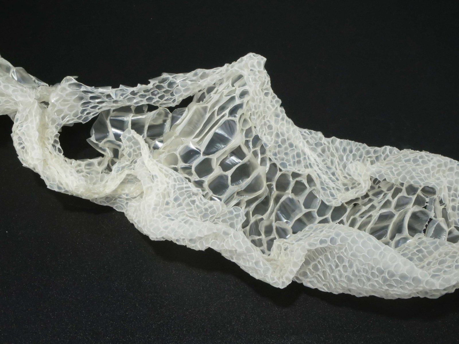 赤目・白蛇の抜け殻 130cm 縁起物 金運 S17